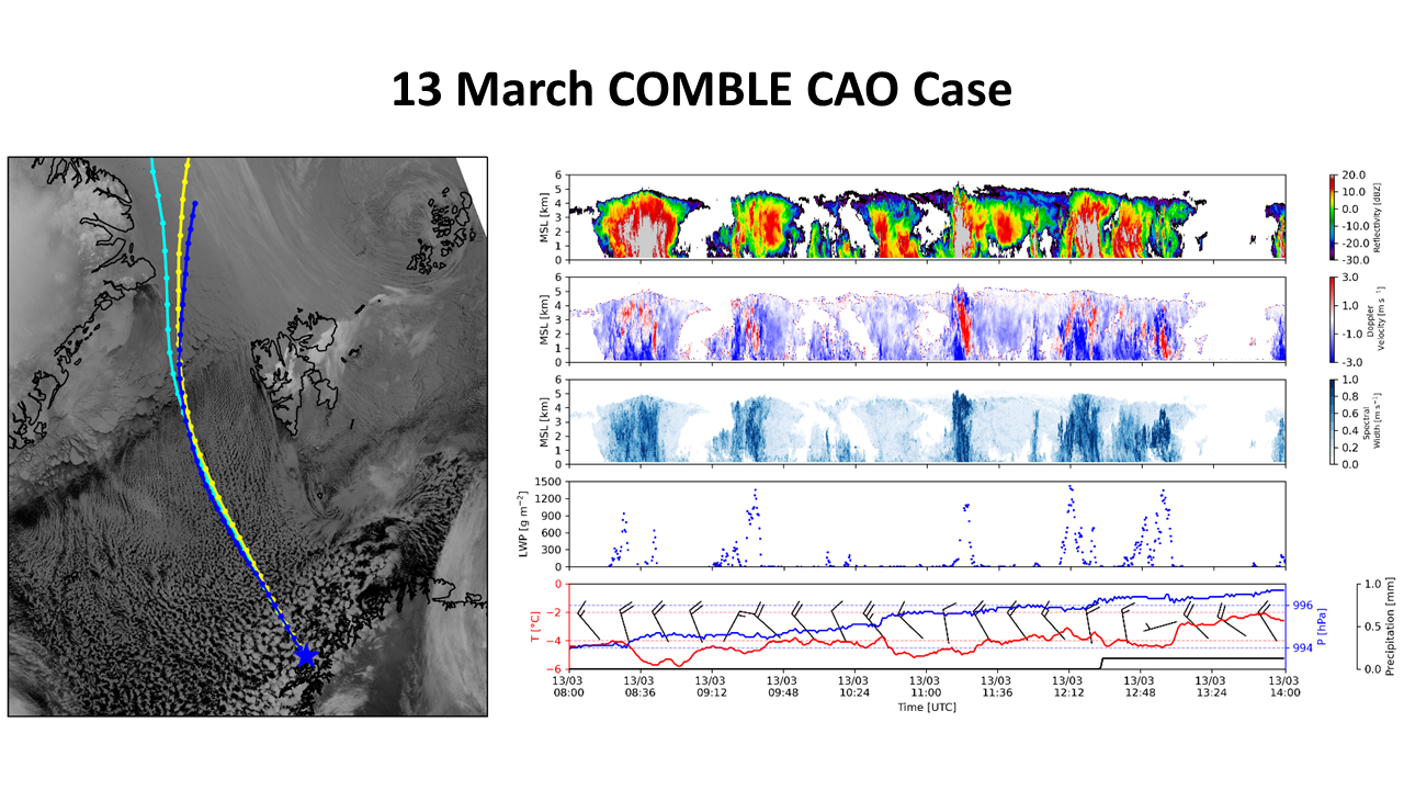 _images/13march_case_overview.png